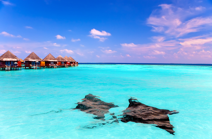 Maldives Clear blue waters with sting rays in Maldives beach.